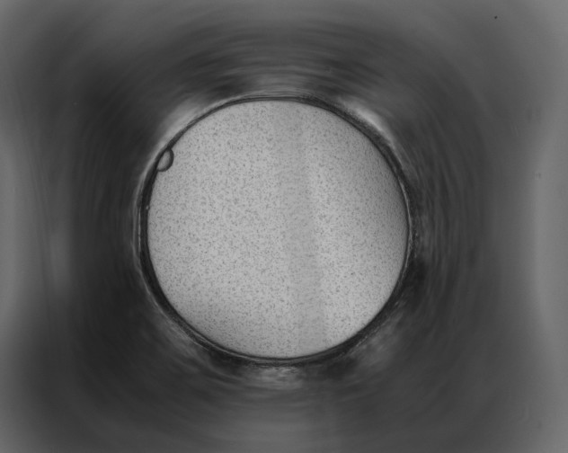 X0000086891467200705071213