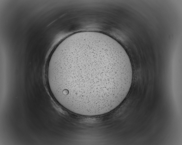 X0000086891470200705071213