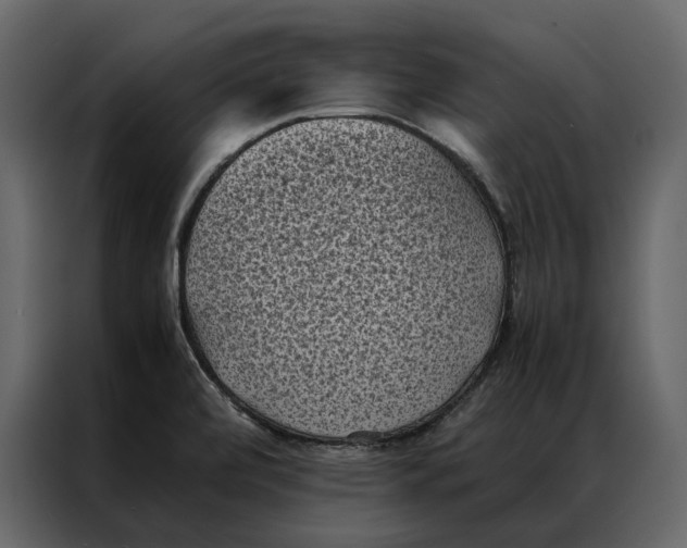 X0000086891472200705071213