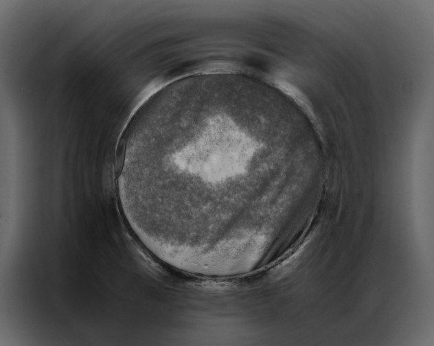 X0000086891473200705071213