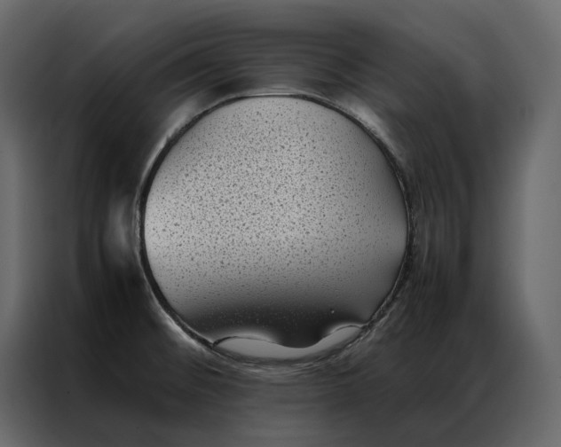 X0000086891476200705071213