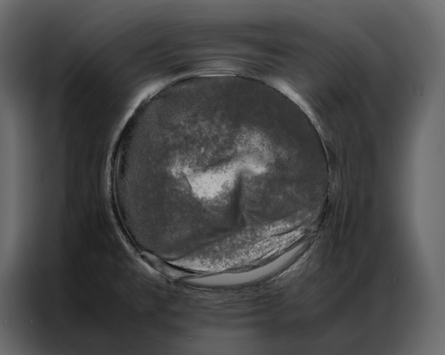 X0000086891477200705071213