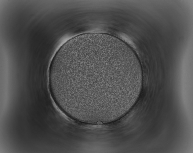 X0000086891479200705071213