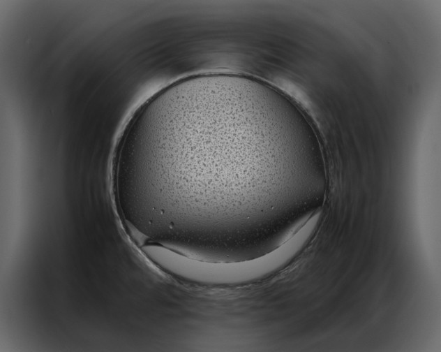 X0000086891480200705071213