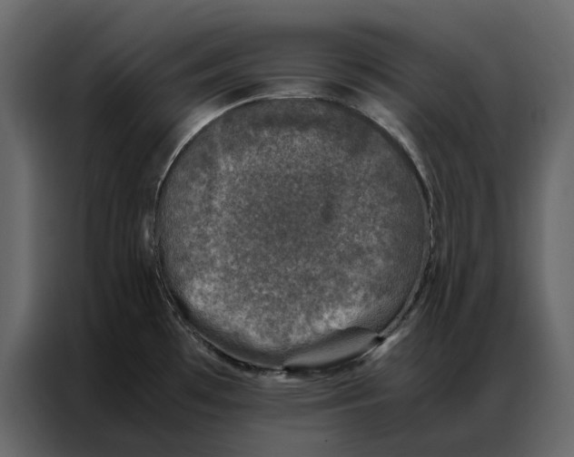 X0000086891481200705071212