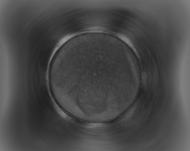 X0000086891482200705071212