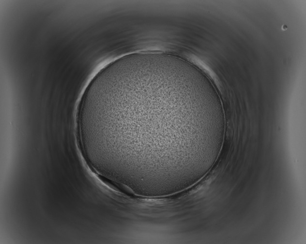 X0000086891483200705071212