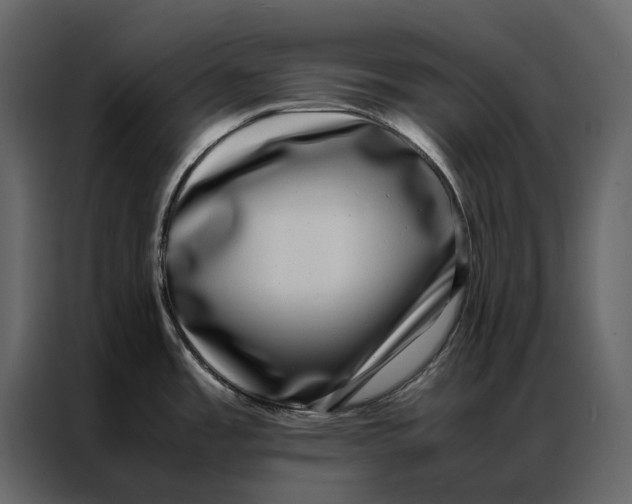 X0000086891485200705071212