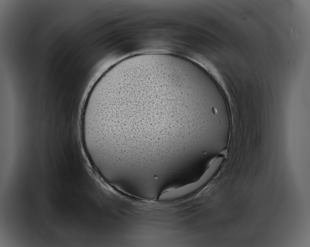 X0000086891488200705071212