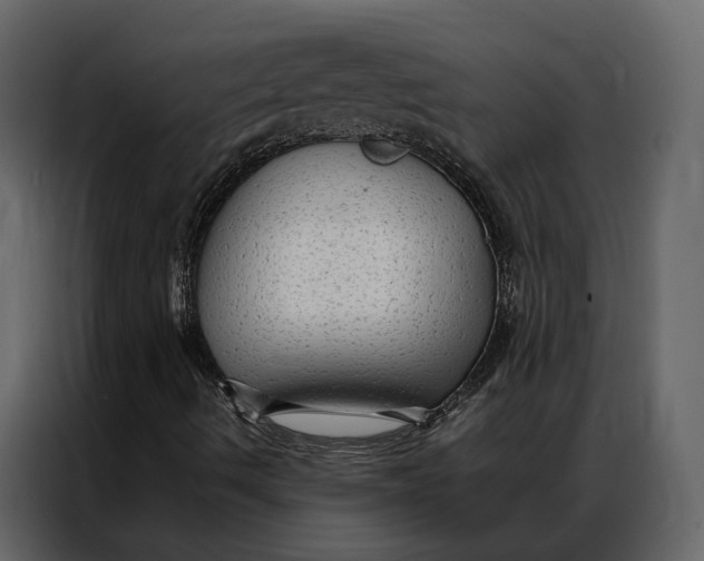 X0000086891490200705071212