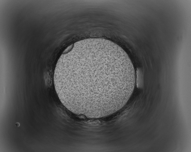 X0000086891491200705071212