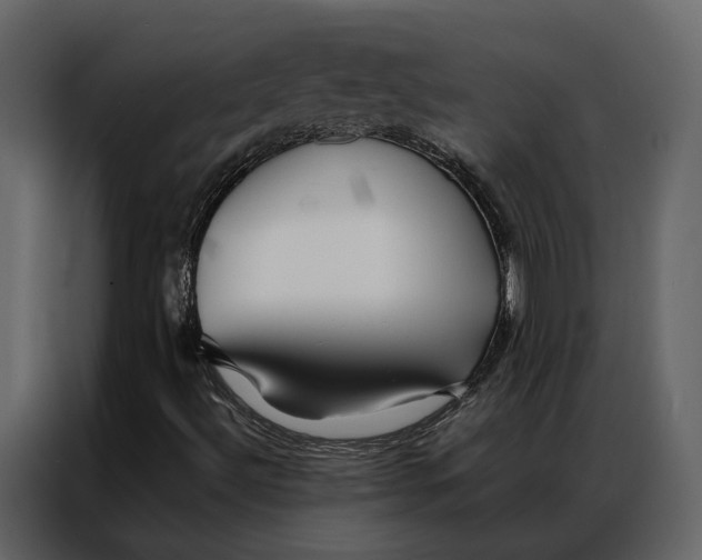 X0000086891492200705071212