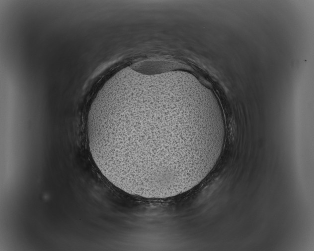 X0000086891494200705071212