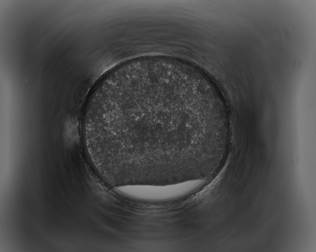 X0000086891497200705071212