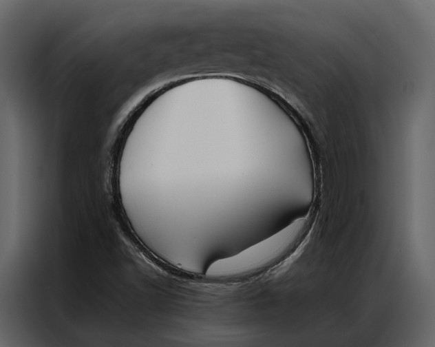 X0000086891502200705071212