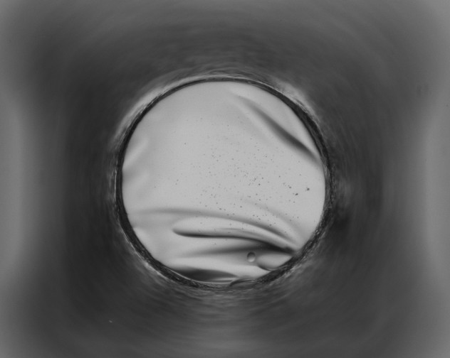 X0000086891504200705071212