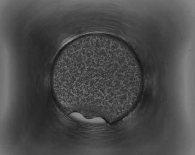 X0000086891505200705071212