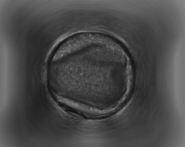 X0000086891506200705071212