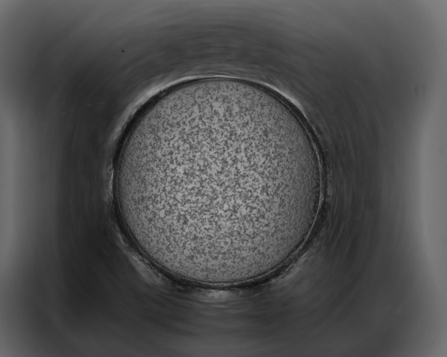 X0000086891507200705071212