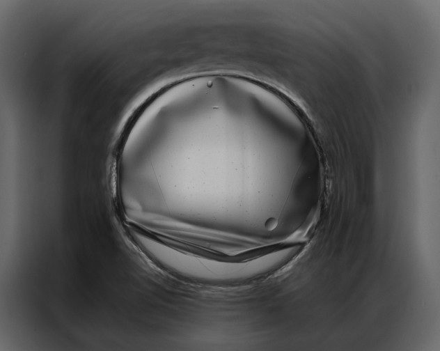 X0000086891510200705071212