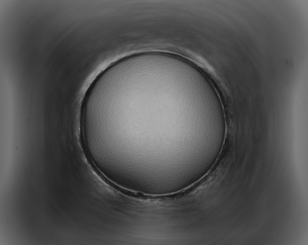 X0000086891512200705071212