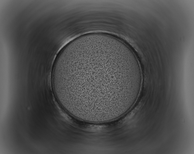 X0000086891513200705071212