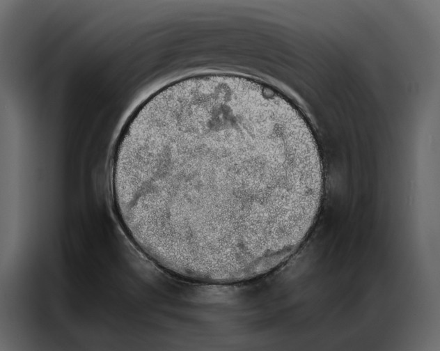 X0000086891514200705071212