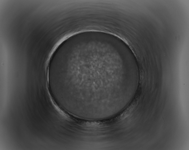 X0000086891515200705071212