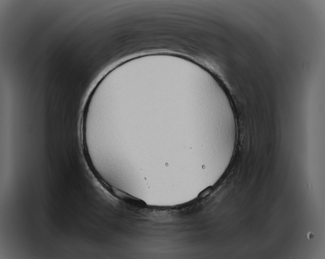 X0000086891516200705071212