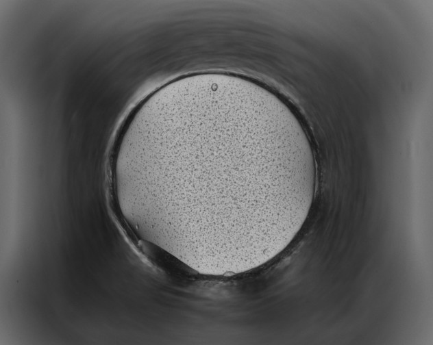 X0000086891517200705071212