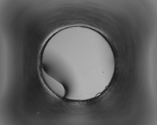 X0000086891518200705071212