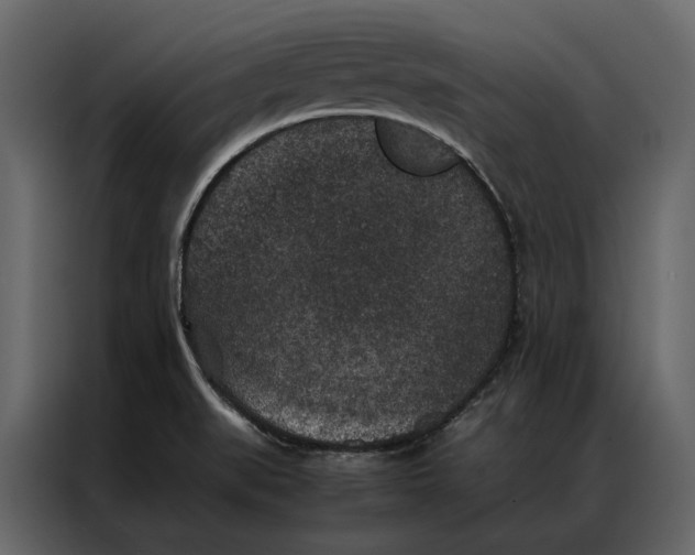 X0000086891519200705071212