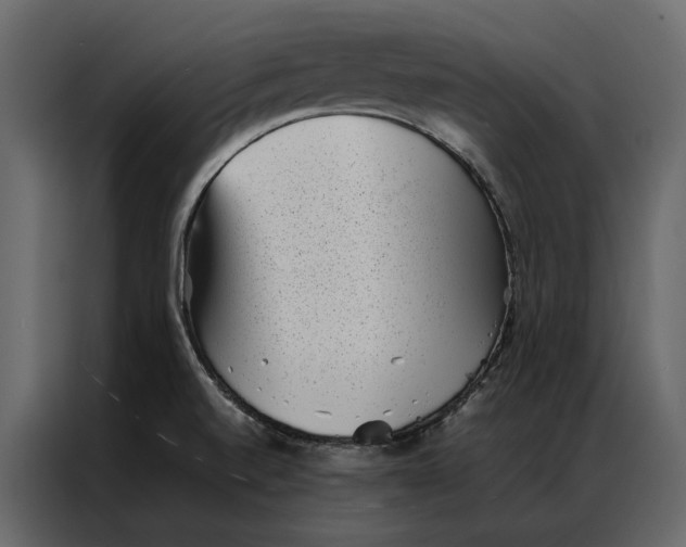 X0000086891520200705071212