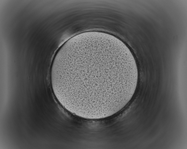 X0000086891521200705071212