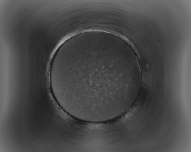 X0000086891522200705071212