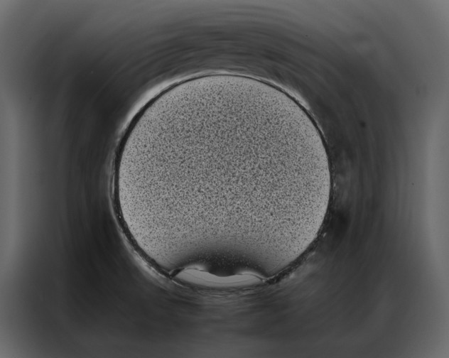 X0000086891523200705071212