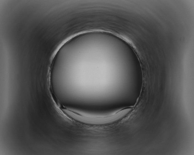 X0000086891524200705071212