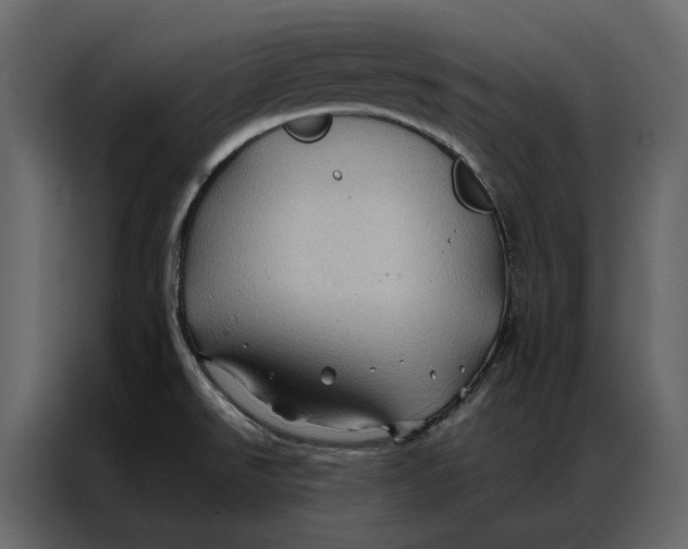 X0000086891526200705071212