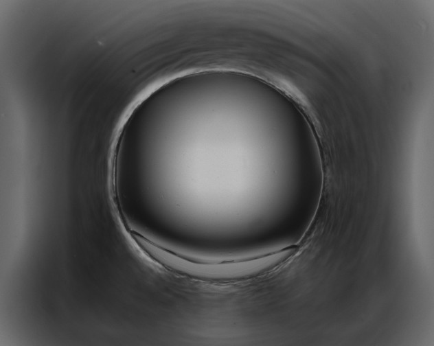 X0000086891528200705071212