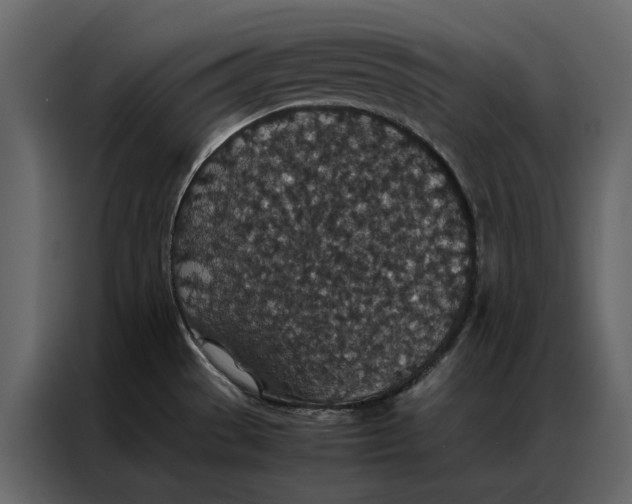 X0000086891529200705071212