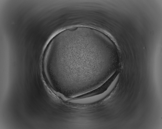 X0000086891530200705071212