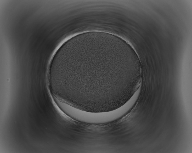 X0000086891531200705071212