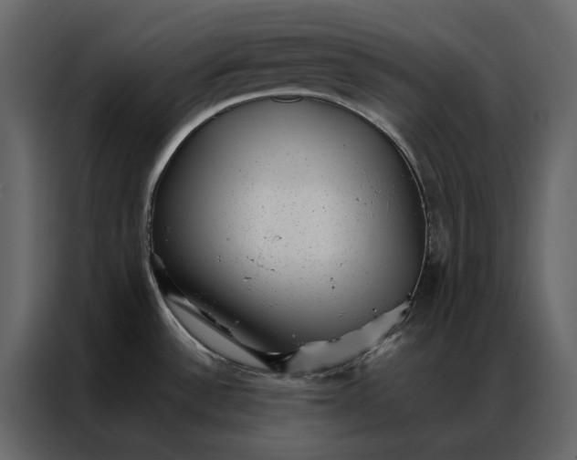 X0000086891532200705071212