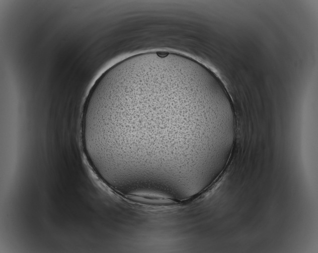 X0000086891534200705071212