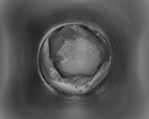 X0000086891536200705071212