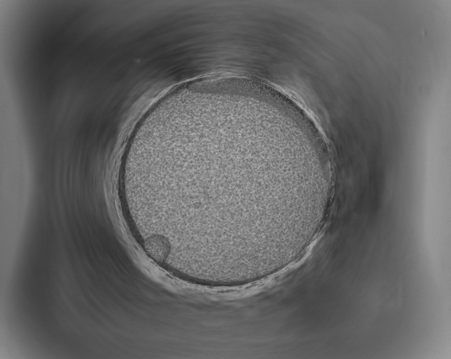 X0000086890001200705141632