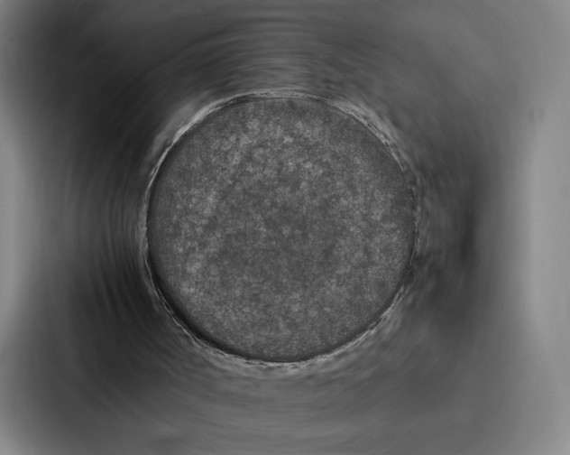 X0000086890002200705141632