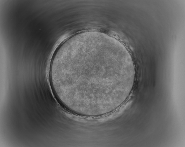 X0000086890003200705141632