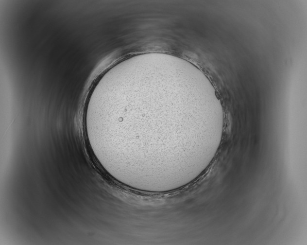 X0000086890004200705141632