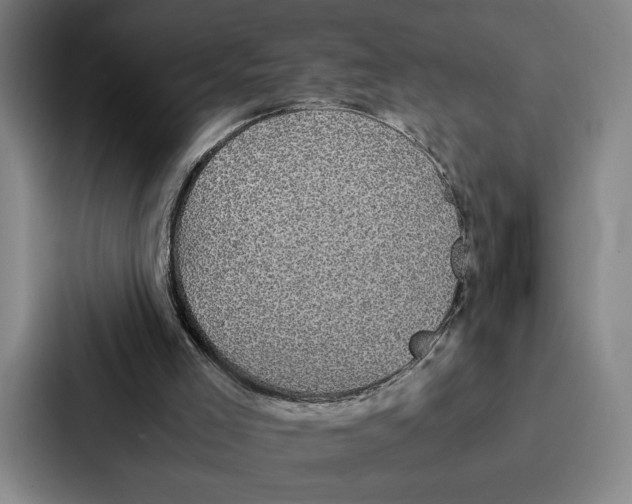 X0000086890005200705141632